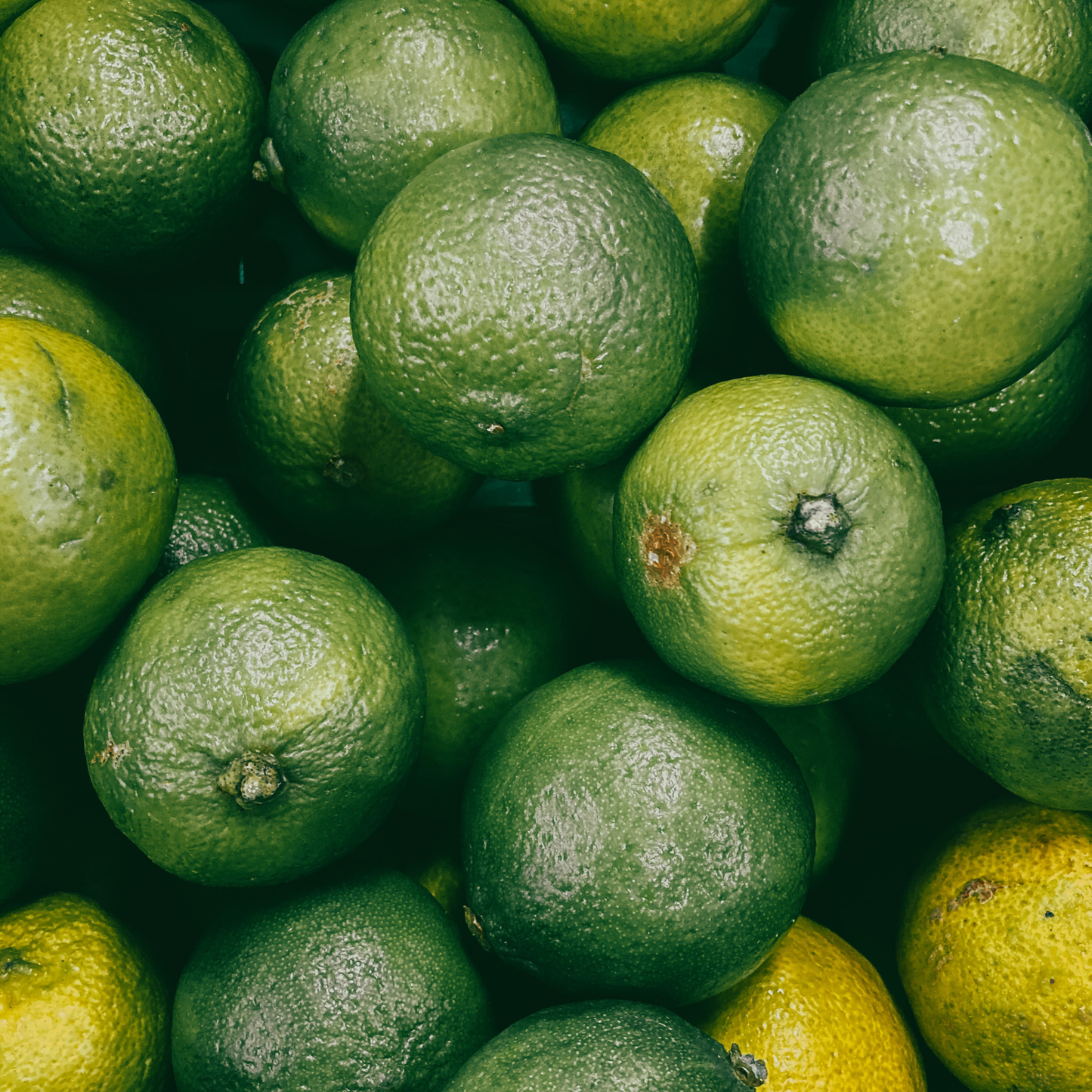 Limoni Verdello