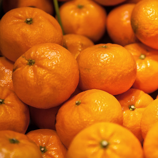 Mandarines Tang Gold