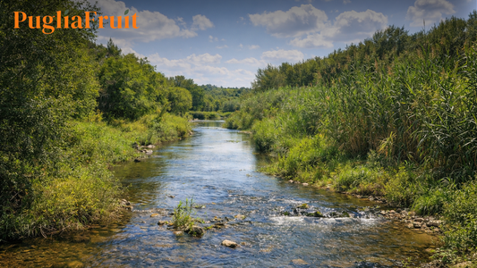 Il fiume Lenne: il respiro d’acqua che nutre i nostri prodotti
