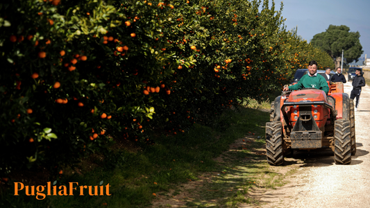 La stagione ha compiuto il suo ciclo