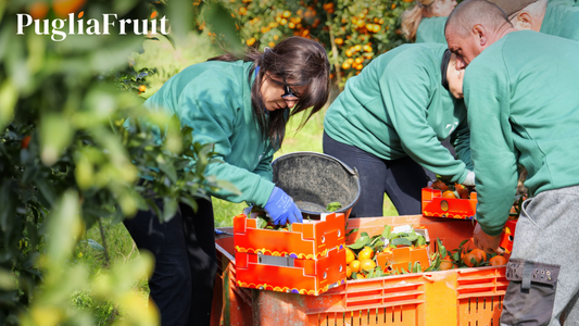 Puglia Fruit: la freschezza che dura davvero