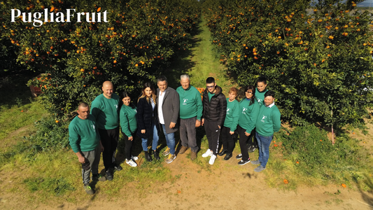 Le Lame di Palagiano: dove gli agrumi respirano la storia e il futuro