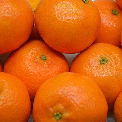 Vendita Confezione Mista di Arance Navel e Clementine Pugliesi IGP del Golfo di Taranto - Confezione da 14 kg (2,38 € al kg)