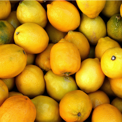 Limoni Pugliesi
