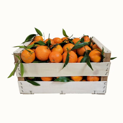 Vendita Clementine Pugliesi IGP del Golfo di Taranto - Confezione da 14 kg (2,52 € al kg)