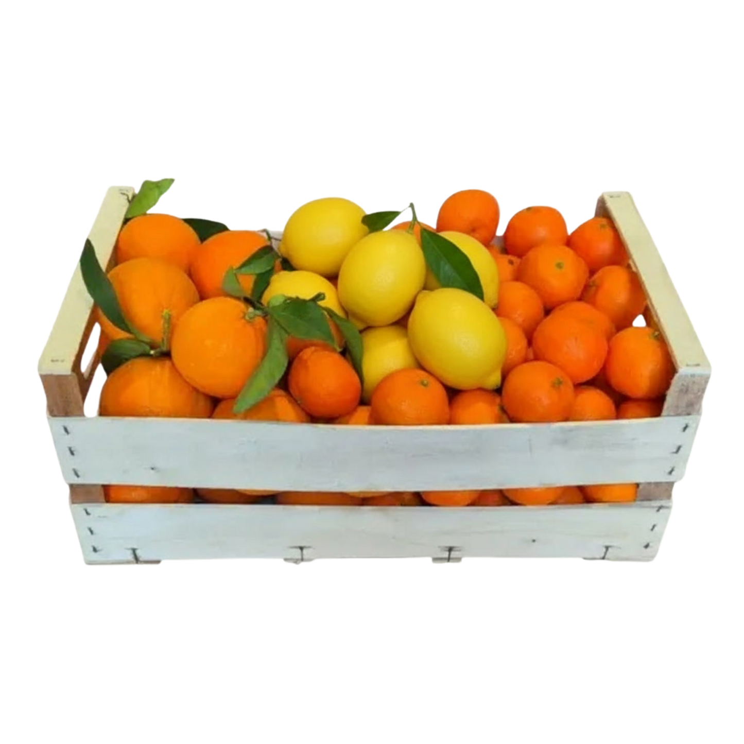 Confezione Mista di Arance Navel da Tavola Pugliesi, Mandarini Tang Gold e Limoni Pugliesi Primofiore Femminello - 14 kg (2,58 € al kg)