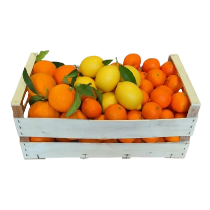 Confezione Mista di Arance Navel da Tavola Pugliesi, Mandarini Tang Gold e Limoni Pugliesi Primofiore Femminello - 14 kg (2,58 € al kg)