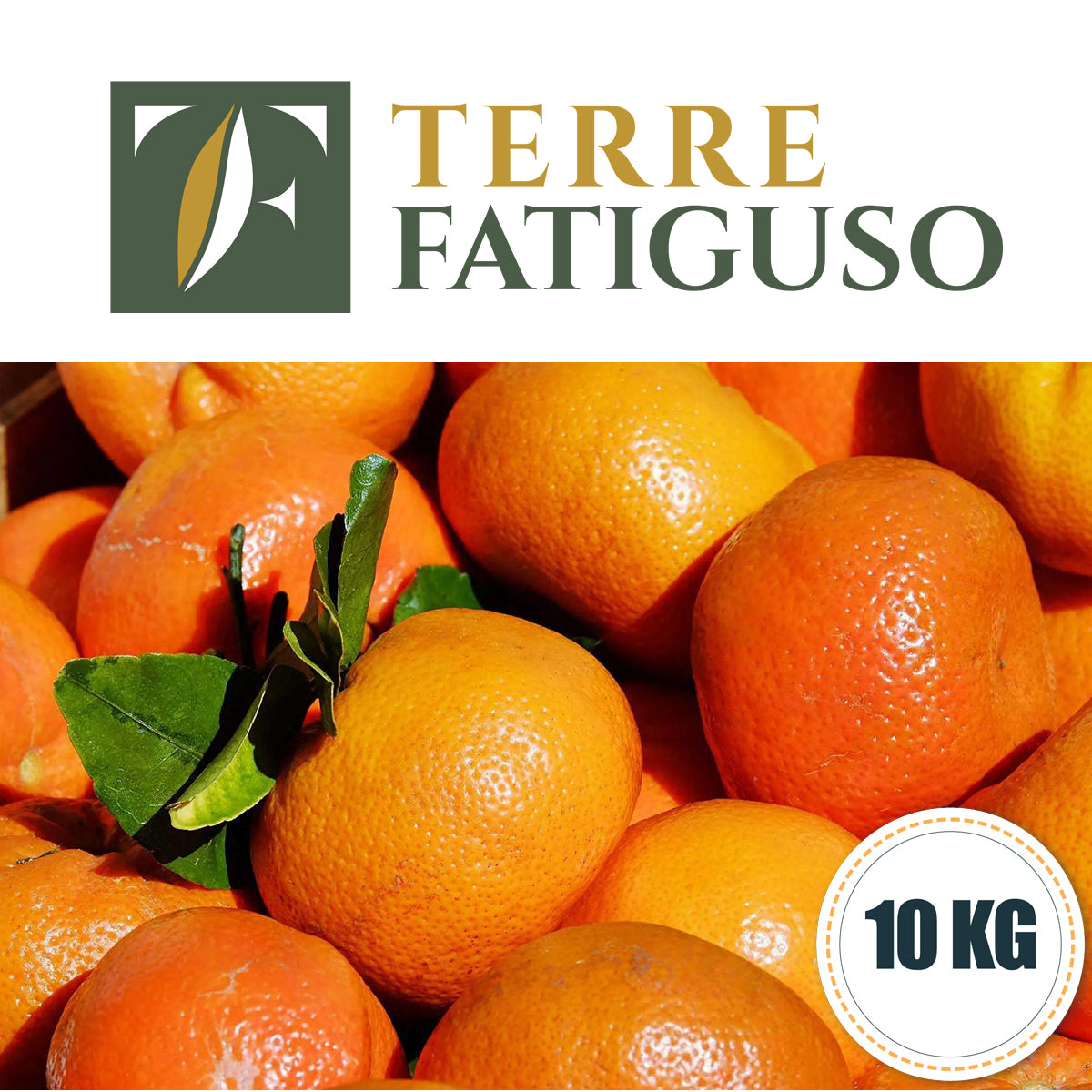 Confezione da 10 kg di Clementine Pugliesi IGP (2,20€ AL KG.)