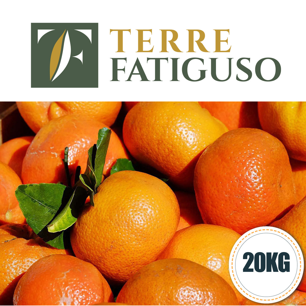 Confezione da 20 kg di Clementine Pugliesi IGP (2,00€ AL KG.)