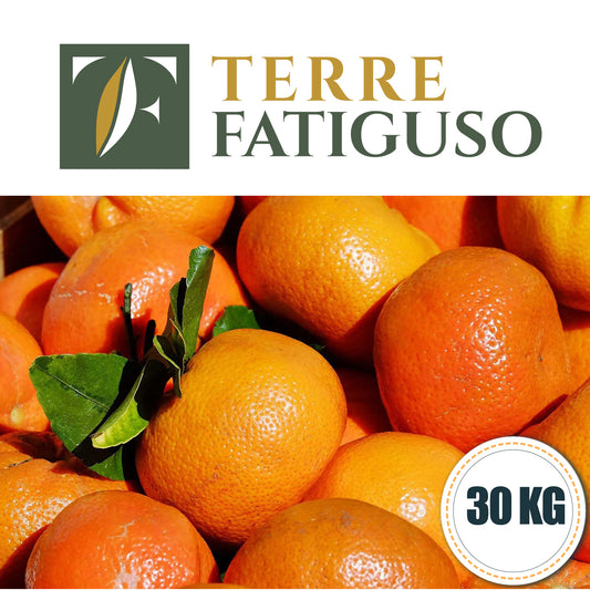 Confezione da 30 kg di Clementine Pugliesi IGP (1,80€ AL KG.)