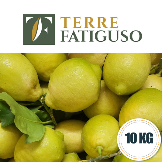 Confezione da 10 kg di Limoni Pugliesi