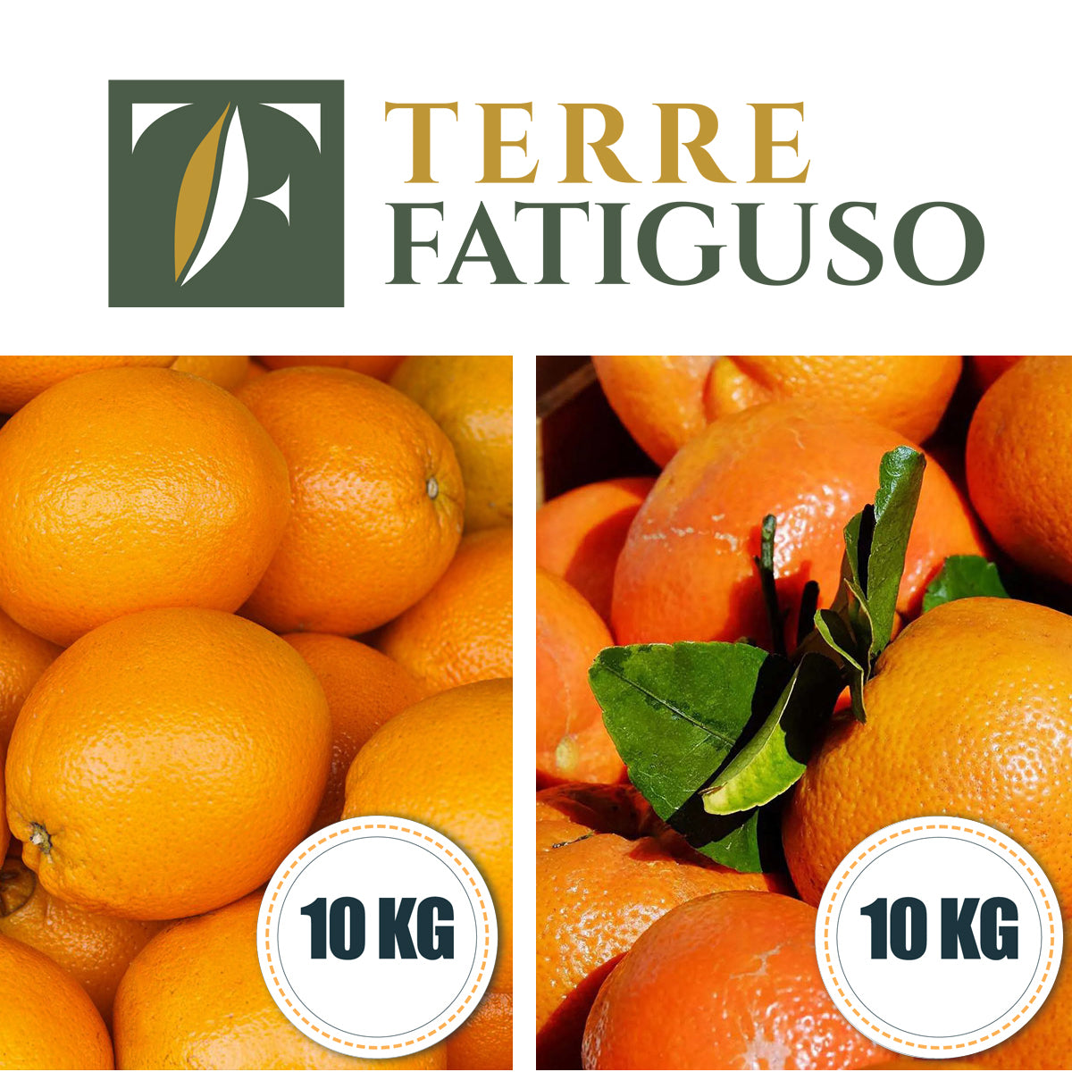 Confezione da 10 kg di Arance Navel + 10 kg di Clementine Pugliesi