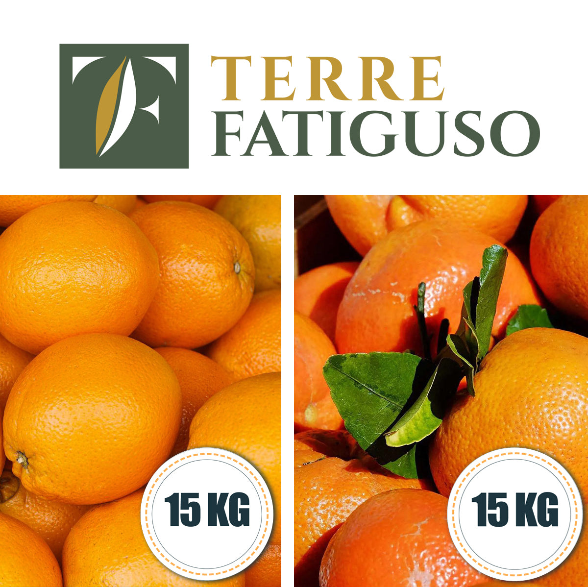 Confezione da 15 kg di Arance Navel + 15 kg di Clementine Pugliesi