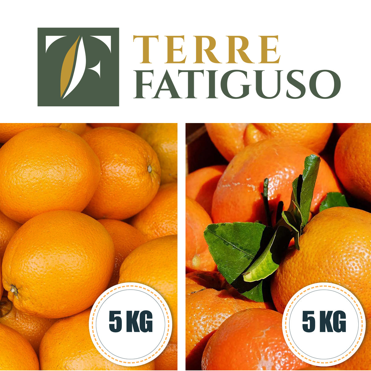 Confezione da 5 kg di Arance Navel + 5 kg di Clementine Pugliesi