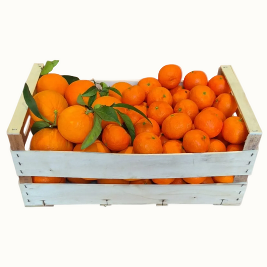 Vendita Confezione Mista di Arance Navel e Clementine Pugliesi IGP del Golfo di Taranto - Confezione da 14 kg (2,38 € al kg)