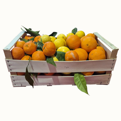 Confezione Mista di Arance Navel, Clementine Pugliesi IGP del Golfo di Taranto e Limoni Pugliesi Primofiore Femminello - Confezione da 14 kg (2,49 € al kg)