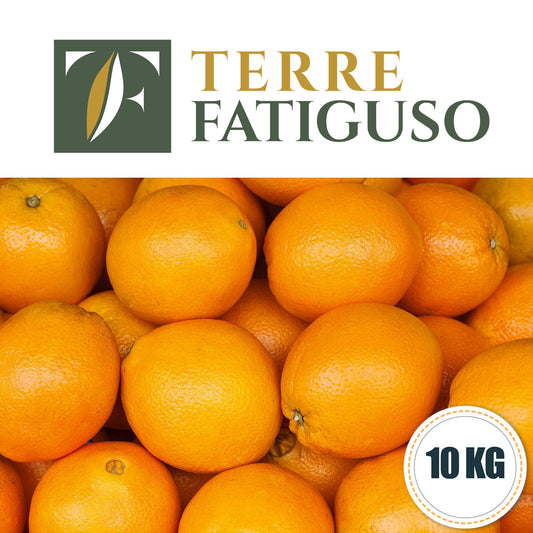 Confezione da 10 kg di Arance Navel da Tavola Pugliesi  (2,00€ AL KG.)