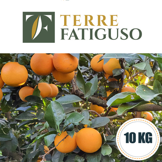 Confezione da 10 kg di Arance Navel da Spremuta Pugliesi (1,80€ AL KG.)