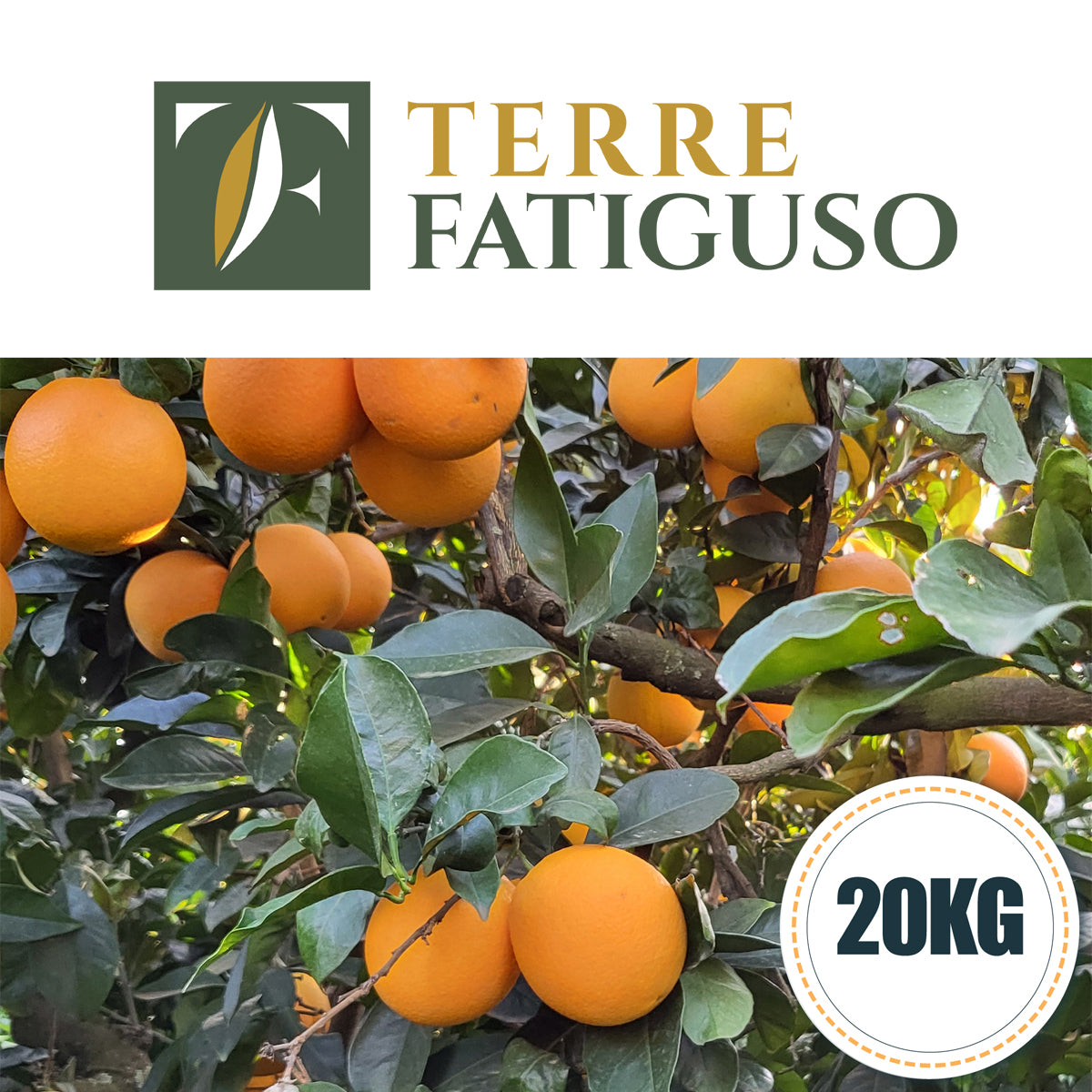 Confezione da 20 kg di Arance Navel da Spremuta Pugliesi (1,60€ AL KG.)