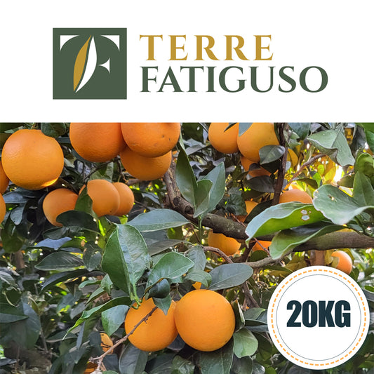 Confezione da 20 kg di Arance Navel da Spremuta Pugliesi (1,60€ AL KG.)