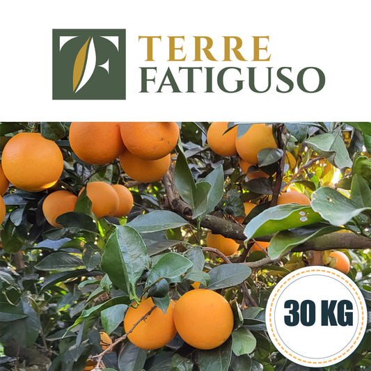 Confezione da 30 kg di Arance Navel da Spremuta Pugliesi (1,40€ AL KG.)